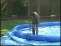 Piscina intex easy set 366x91 venduto! drop off eBay store!