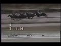 Clasico Copa de Oro 1991 Clasico Copa de Oro 1991