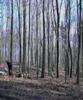 new Season Biking, freeride, dirt, hometrail