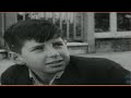 Road Safety - Don Bradman