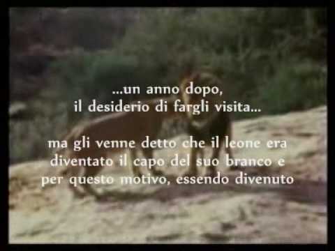 Immagine anteprima YouTube