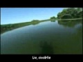  - videoclipul lui lylykae