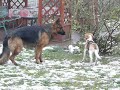 Parys Chester pożegnania nadszedł czas