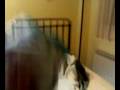 videos de aran esnukao