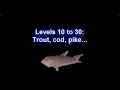 Liquid Fanta   1 99 cooking guide  very cheap 