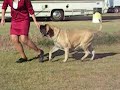 Evamoving.MOV Evamoving.MOV