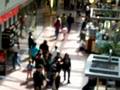 10 Minute Freeze - Arcadia mall