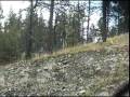 my father (ray rasmussen) and i (norm) took a drive down the middle fork of the john day river on august 13, 1999.  my father was age 95 at the time.  i was 52. this clip ends at galena, about 10 miles below bates. at galena, footage of the house cody, marnie, terry and marnie jo mcconnell used to live, which was an stage coach stop at one time in the gold mining days.  they moved down to galena because cody couldn't work due to severe lower back problems from a log falling accident when he worked in the woods for edward hines lumber company at bates.  at galena, marnie drove school bus, busing kids from around that area to bates in the morning and then driving them back home in the evenings.  terry mcconnel was my age, and some of my fondest memories was when i would stay with him their at the old stage coach stop in galena.  we caught fish in the middle fork behind his house; we would take his dad's willies jeep and explore all over the country, always looking for a coyote to shoot at.  terry had a dog that had incredible eyesight, and could spot a coyote 3/4's of a mile away.  he would look up over the cab of the jeep, and would bark when he spotted a coyote.  sometimes we would have a hard time seeing the coyote, it would be so far away.  we saw a lot of deer and quite a few elk on those trips.  the house with the sign reading 