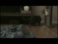 videos de The Great Mouse Hunt