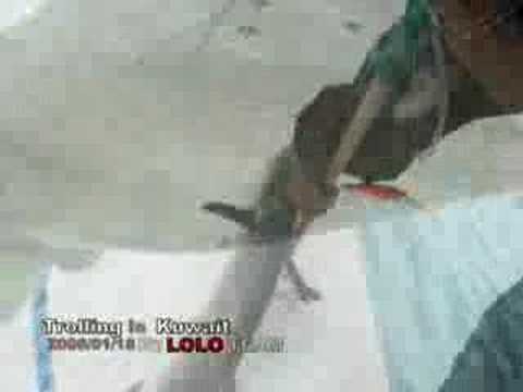 Q8 Trolling By Lolo Team 18-1-2008