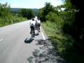 Paris Nice 2008 Cycling. 5th Stage. Oksen fra Hammel