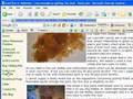 Gold-Vault.com review