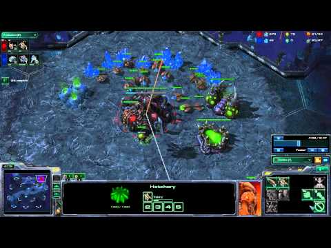 how to react as zerg