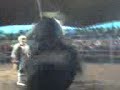 jaripeo-en-hidalgo.html