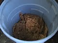making hard cider making hard cider