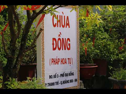 NIKAYA Thiền Biết Ơn Mẹ & Lễ Trai Tăng