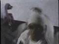 Master P - Im Bout Bout It