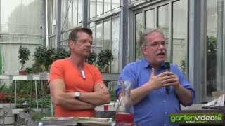 Über Sortenschutz, Patentschutz, Agrarpolitik, Pflanzenzüchtung und Biodiversität 
