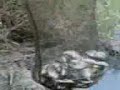 società pesca sportiva \"I BRACCONIERI\" società pesca sportiva \"I BRACCONIERI\"