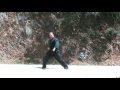 Shaolin Quan Fa- Some Basics