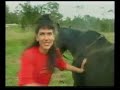 Horse Surprise
