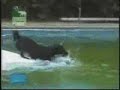 Dry-Retriever