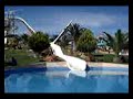 aquashow quarteira