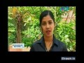 Sthree: Home and garden