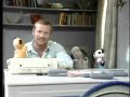 Sooty Keen To Be Green Song