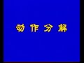 Ho Yiuwaan (何耀寰) - Small plum blossom form Plum blossom
