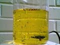 Convection Currents Convection Currents