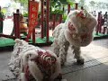 lion dance - khuan loke at usj mydin part 2(cny 2008 )