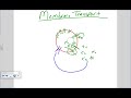 Transport Across the Cell Membrane.wmv