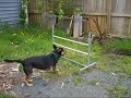 See video