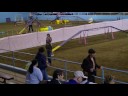 Coey USDAA Starters Std 11-15-08.mpg Coey USDAA Starters Std 11-15-08.mpg