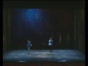 video promo del balletto del sud dello spettacolo 