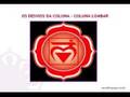 Navrattna Yoga - Desvios da Coluna Vertebral Parte II