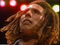 Rage Against The Machine - Killing In The Name (Pinkpop1994)
