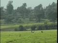 videos de Kenya Travel Doc - Part 05