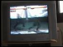 Bryu(Kazuya) Vs. TayongBaby(Steve) Bryu(Kazuya) Vs. TayongBaby(Steve)