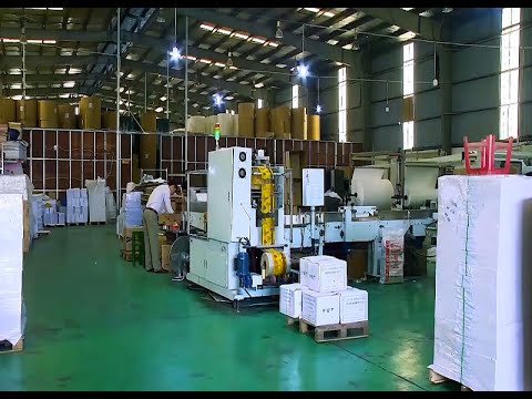 Nỗ lực xanh hóa, hướng tới sản xuất bền vững trong ngành Giấy