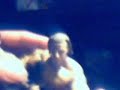 WWE Interview segment with Shawn Michaels action figures