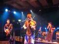 Scrumpy Set - Seth Lakeman