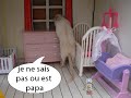 AMOUR DE GERBILLE AMOUR DE GERBILLE