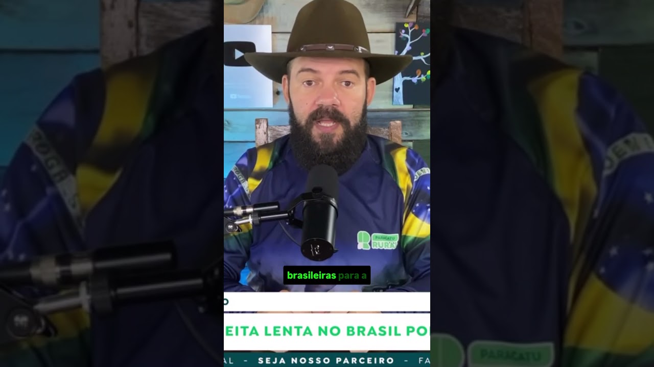 Milho: Por que a colheita lenta no Brasil pode mexer com o preço?