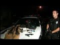 Teenagers suspected of stealing guns