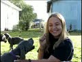 Great Danes- rated "P"  for PUPPIES!!