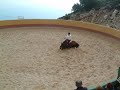 Spanish Horse Riding - Short Clip