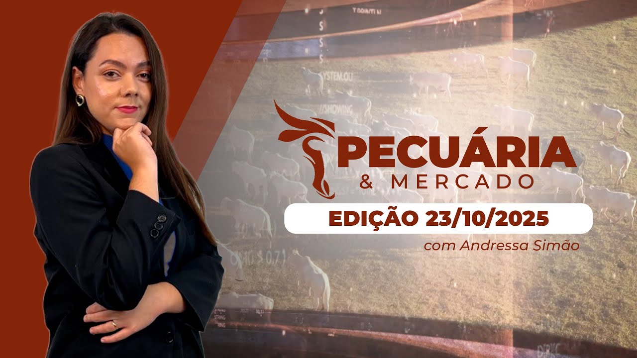 Mercado do boi ainda tem espaço para novos reajustes, mas é importante acompanhar o desempenho...