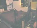 Cat gets chased by Plush  Toy   Dog